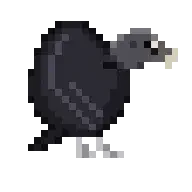Zeca, an 8-bit black vulture